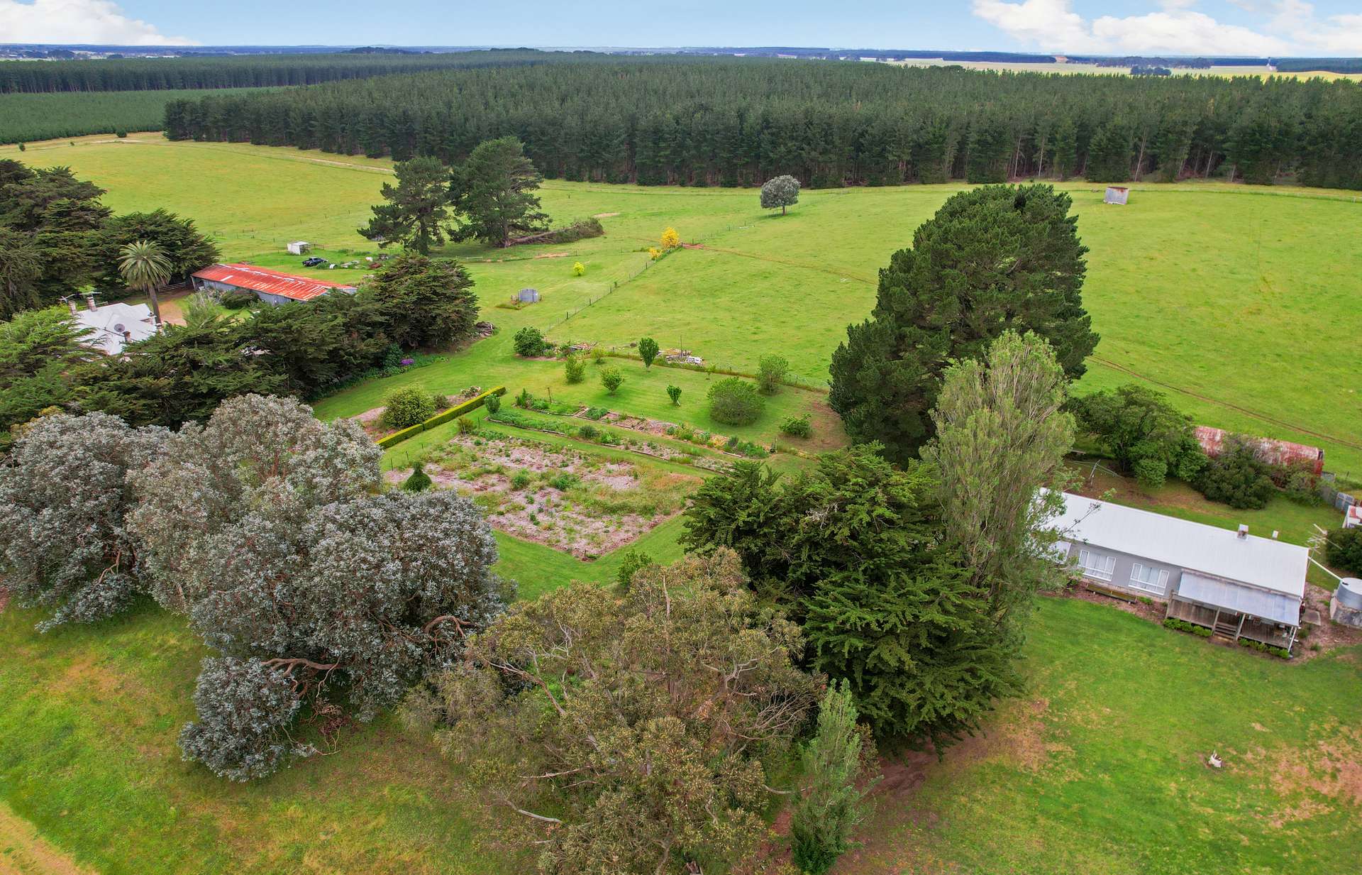 355 Caroline Headquarters Road, Yahl Auction by Farmbuy.com - image 25