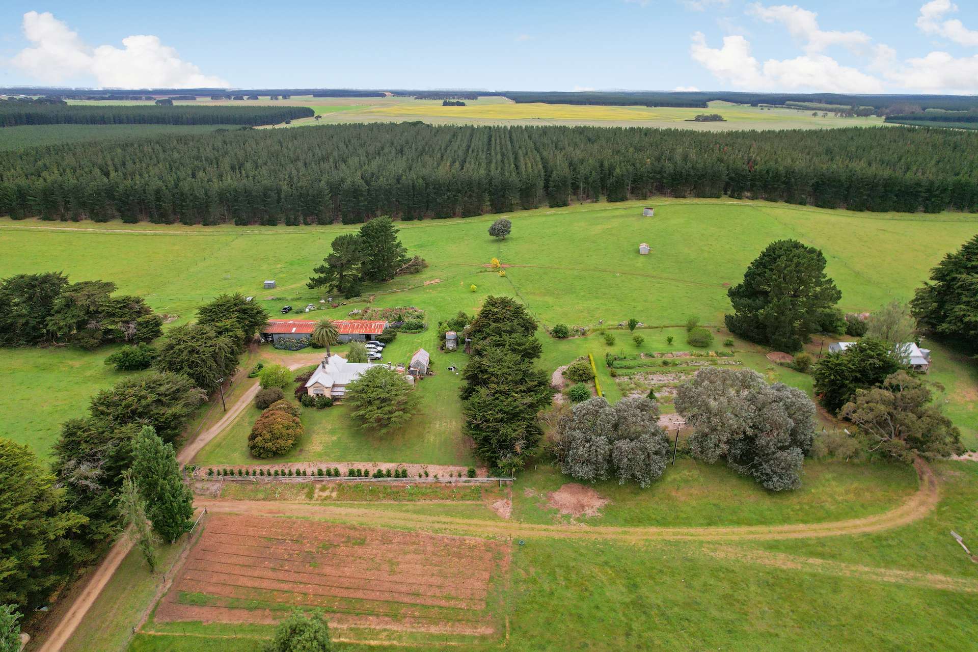 355 Caroline Headquarters Road, Yahl Auction by Farmbuy.com - image 24