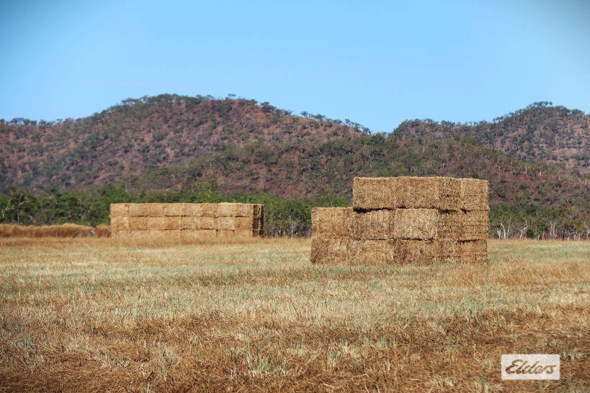 Robin Falls For Sale by Farmbuy.com - image 15