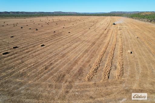Farm For Sale - NT - Robin Falls - 0822 - VICTORIA DOWNS - One of the Northern Territory's quality emerging fodder and agricultural enterprises. 