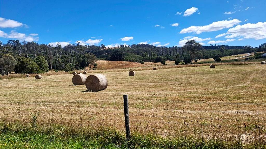 34 Lamberts Road, Merseylea For Sale by Farmbuy.com - image 25
