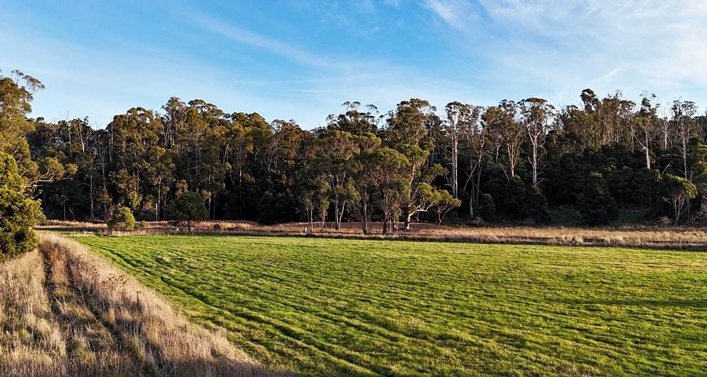 34 Lamberts Road, Merseylea For Sale by Farmbuy.com - image 6