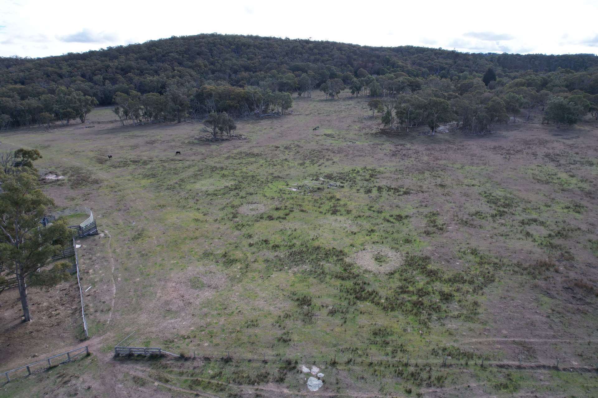 67 Dunn Road, Stanthorpe For Sale by Farmbuy.com - image 6