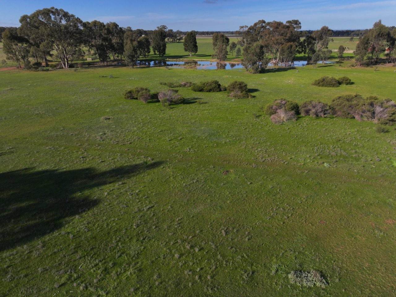 Lot CA 30A,  Wet Lane, Inglewood For Sale by Farmbuy.com - image 7