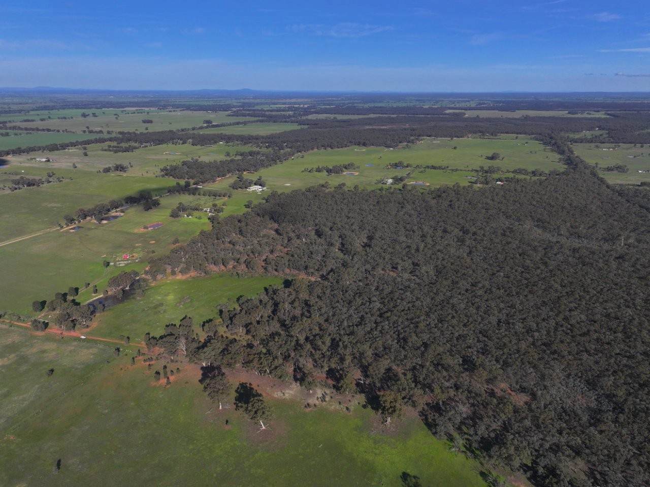Lot CA 30A,  Wet Lane, Inglewood For Sale by Farmbuy.com - image 11