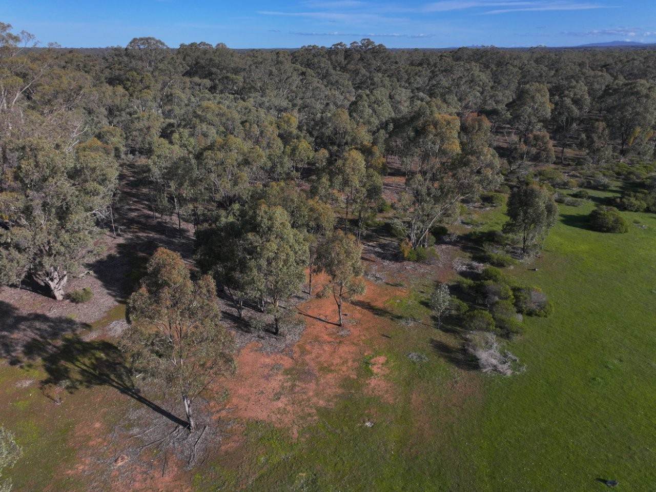 Lot CA 30A,  Wet Lane, Inglewood For Sale by Farmbuy.com - image 3