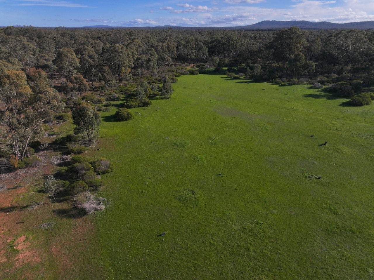 Lot CA 30A,  Wet Lane, Inglewood For Sale by Farmbuy.com - image 2