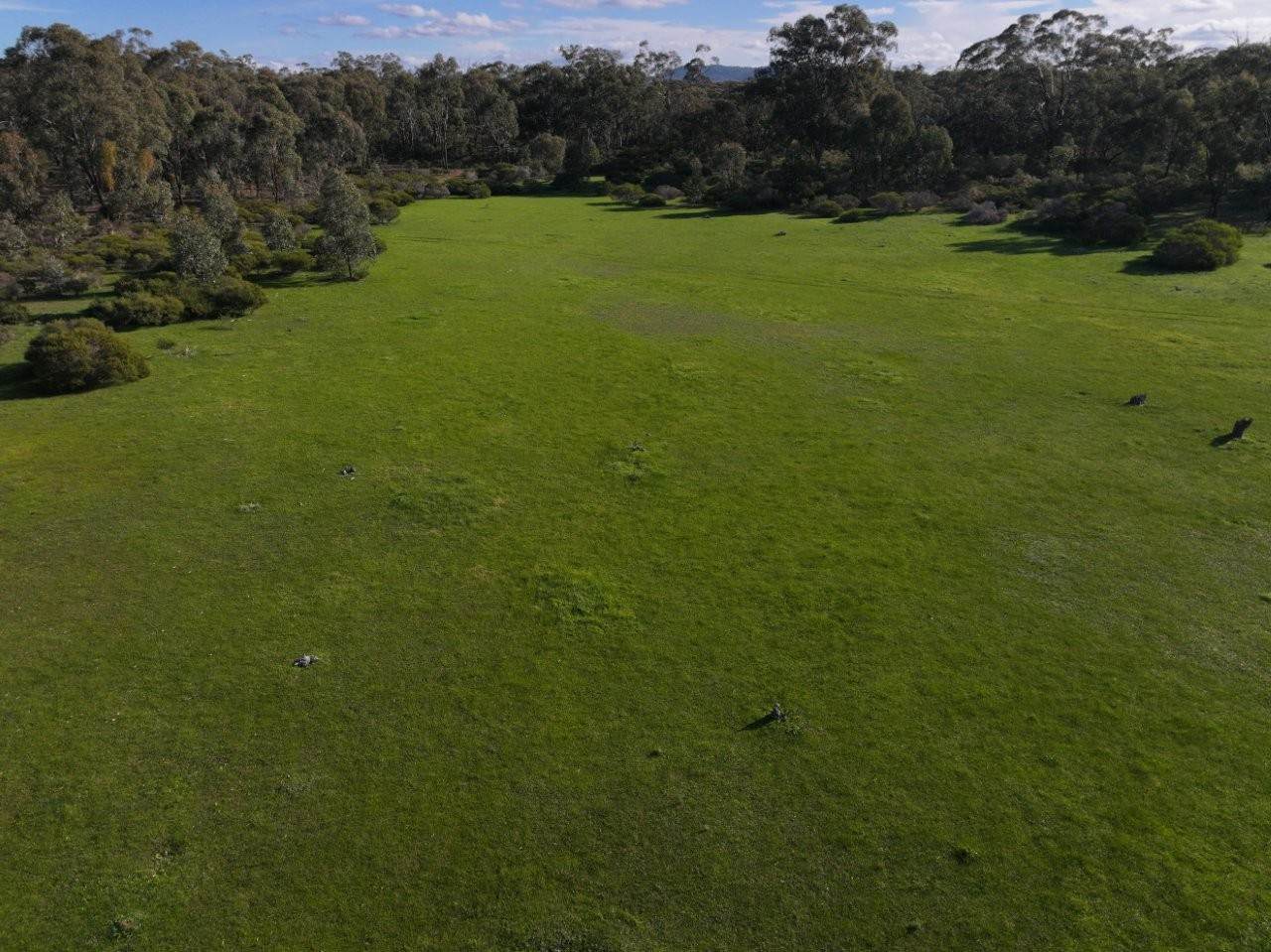 Lot CA 30A,  Wet Lane, Inglewood For Sale by Farmbuy.com - image 9