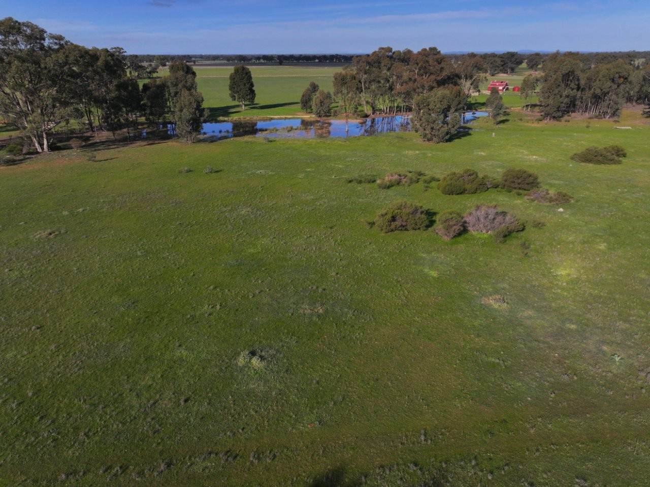 Lot CA 30A,  Wet Lane, Inglewood For Sale by Farmbuy.com - image 4