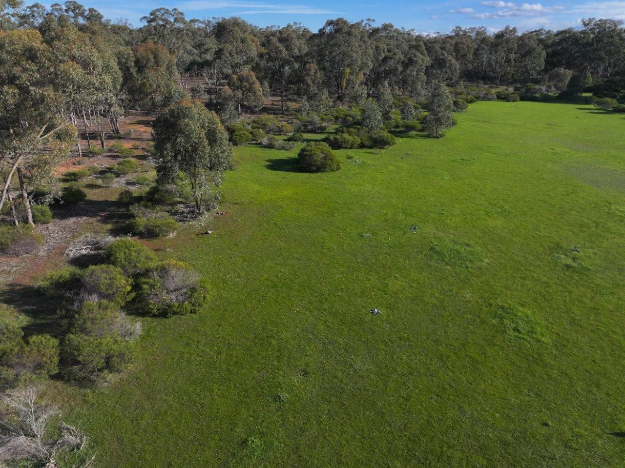 Lot CA 30A,  Wet Lane, Inglewood For Sale by Farmbuy.com - image 8