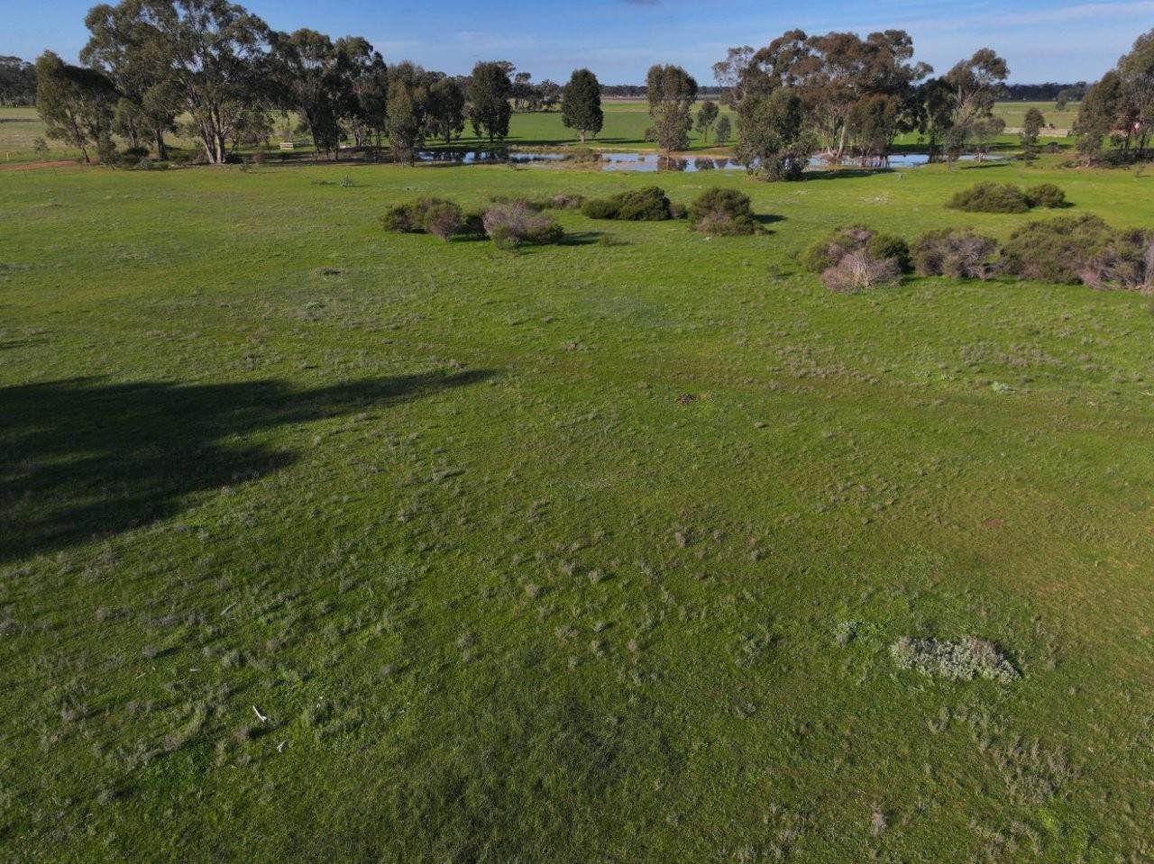 Lot CA 30A,  Wet Lane, Inglewood For Sale by Farmbuy.com - image 6