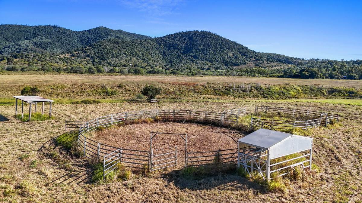 238 Bauple Drive, Bauple For Sale by Farmbuy.com - image 18