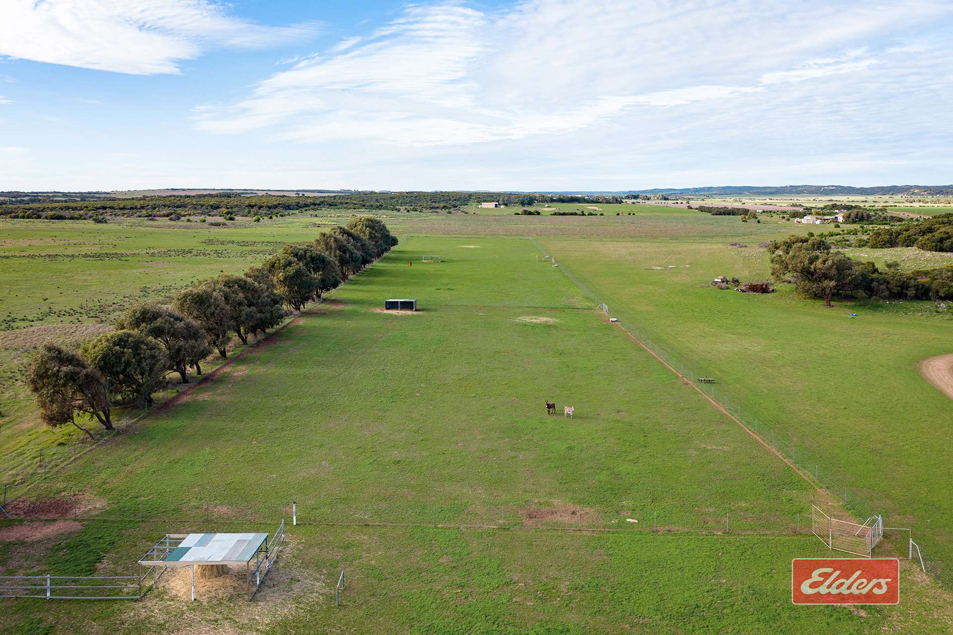 508 Crampton Road, South Greenough For Sale by Farmbuy.com - image 28
