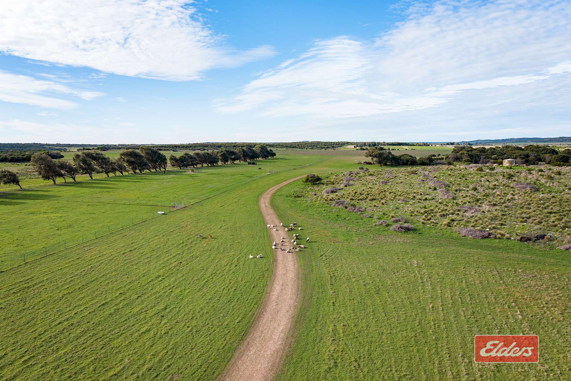508 Crampton Road, South Greenough For Sale by Farmbuy.com - image 34