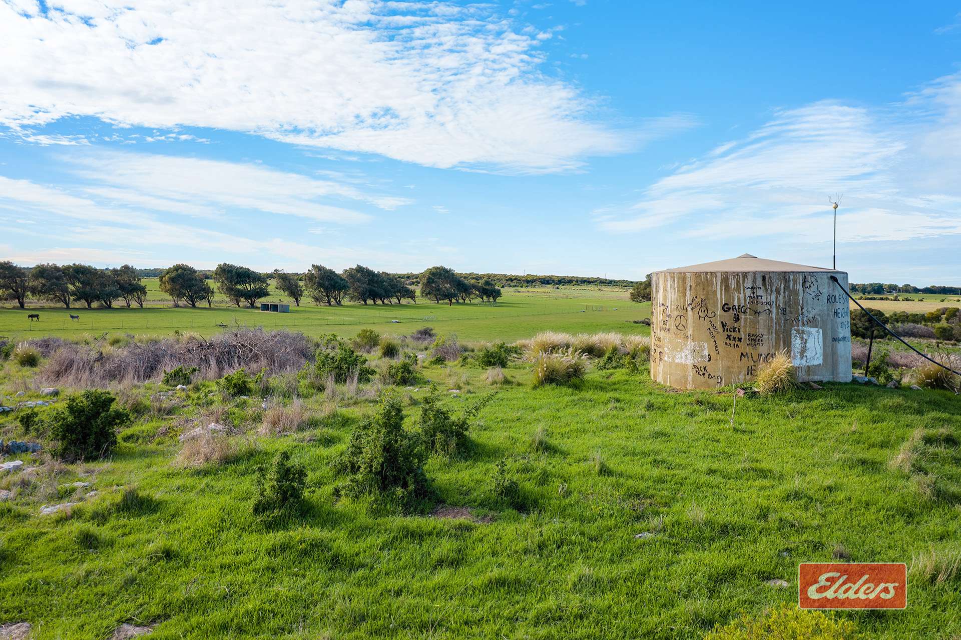 508 Crampton Road, South Greenough For Sale by Farmbuy.com - image 25