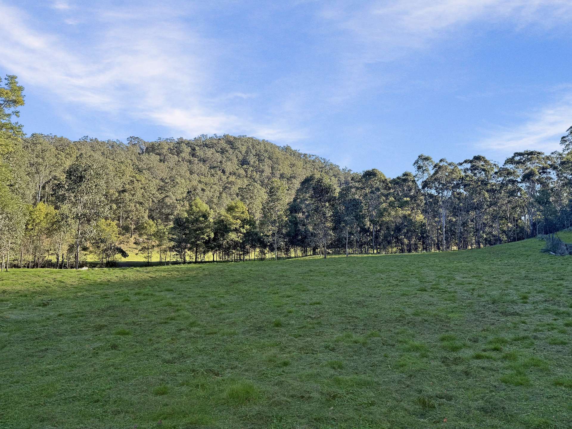 Lot 30 Old Convict Road, Paynes Crossing For Sale by Farmbuy.com - image 7
