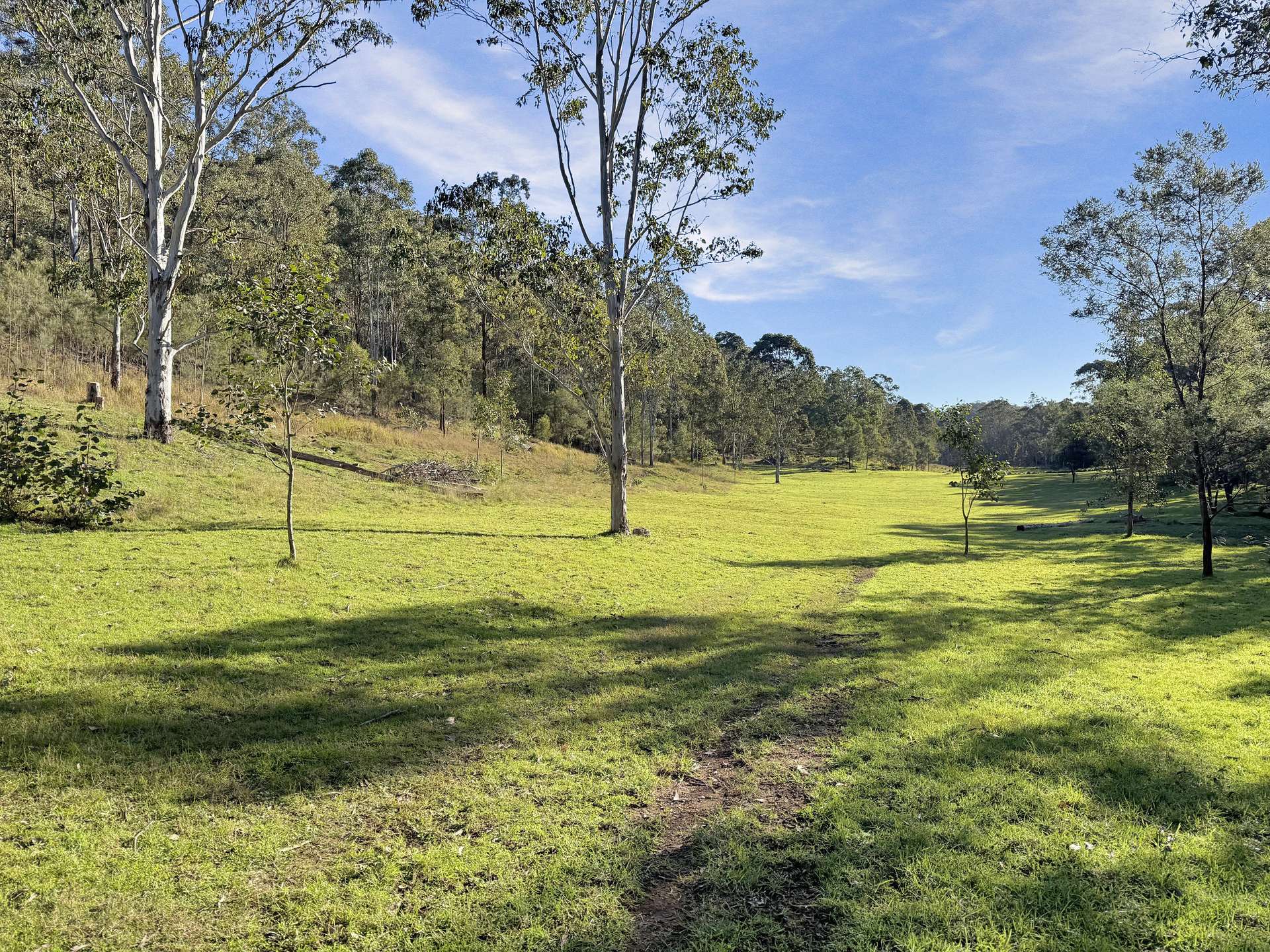 Lot 30 Old Convict Road, Paynes Crossing For Sale by Farmbuy.com - image 3
