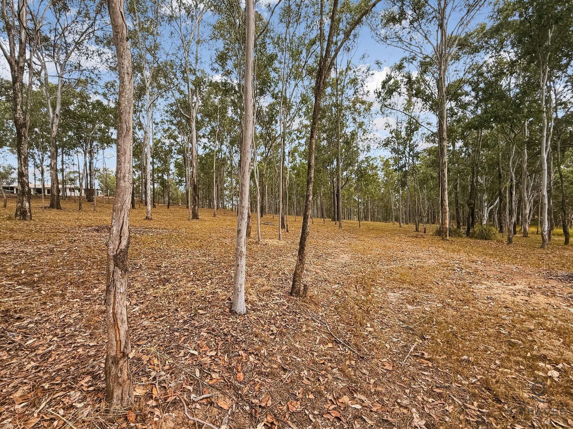 98 Waterloo Hall Road, Waterloo For Sale by Farmbuy.com - image 32