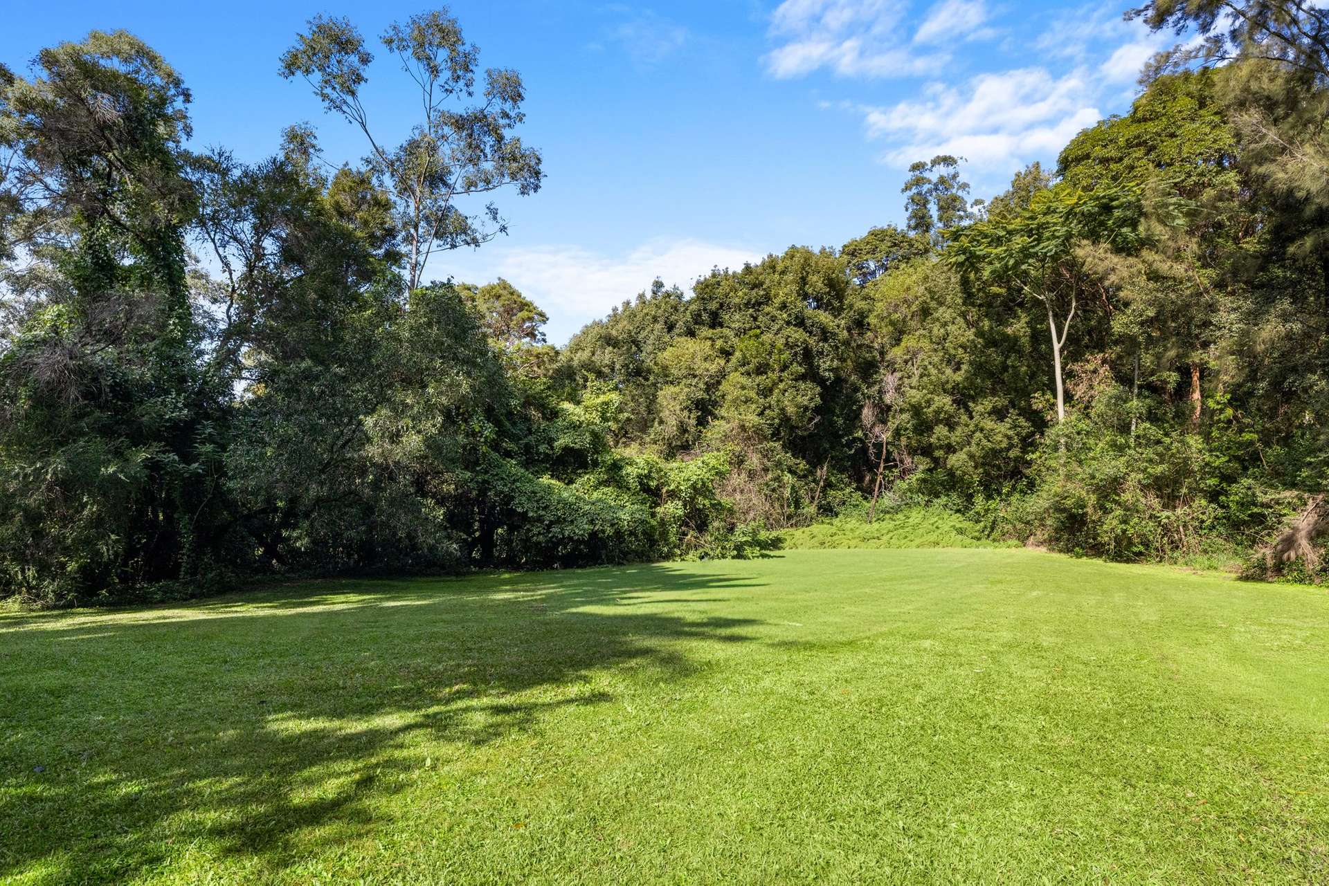 476 WALLACE ROAD, Terania Creek For Sale by Farmbuy.com - image 26