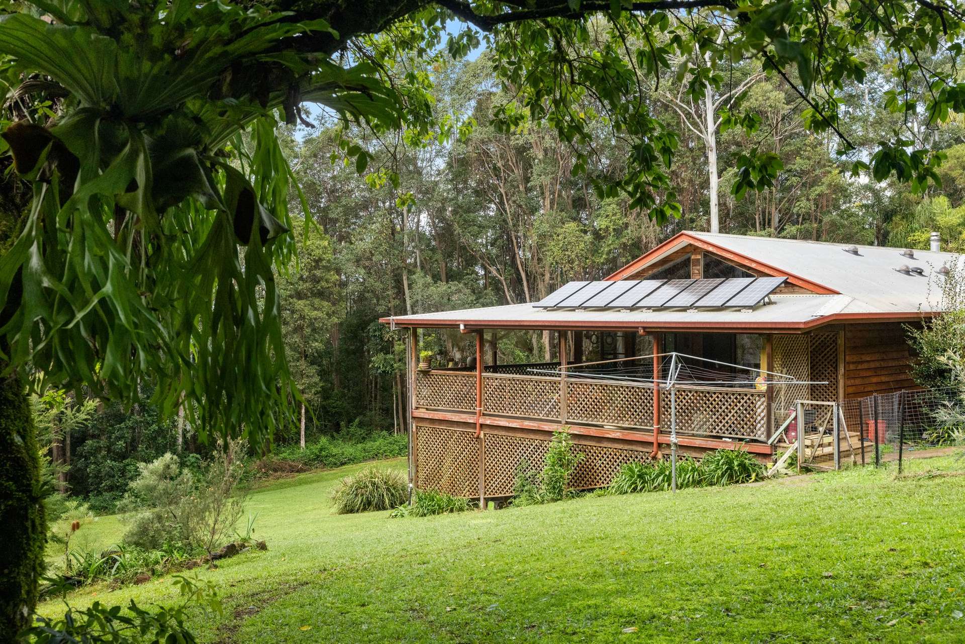 476 WALLACE ROAD, Terania Creek For Sale by Farmbuy.com - image 3