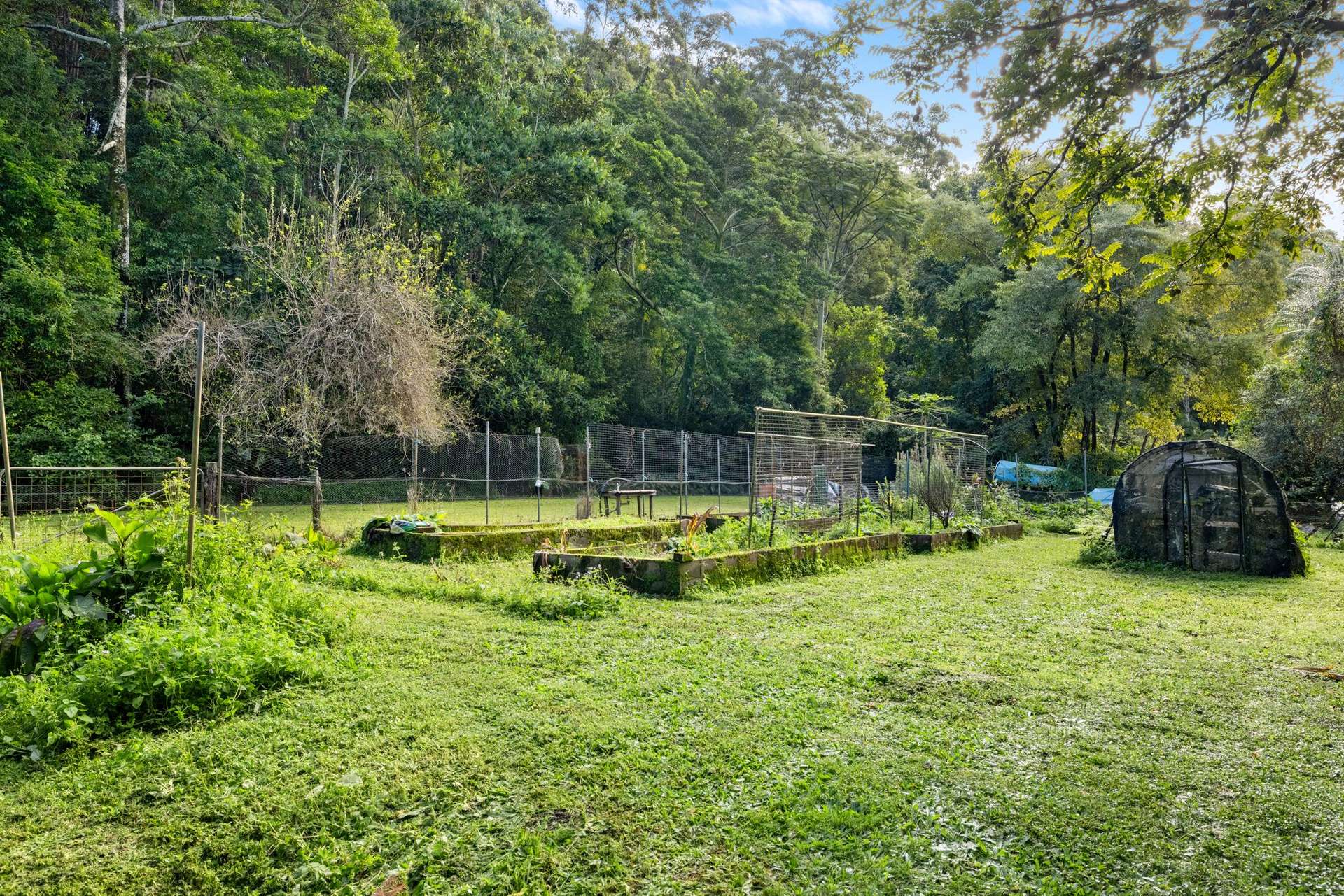 476 WALLACE ROAD, Terania Creek For Sale by Farmbuy.com - image 32