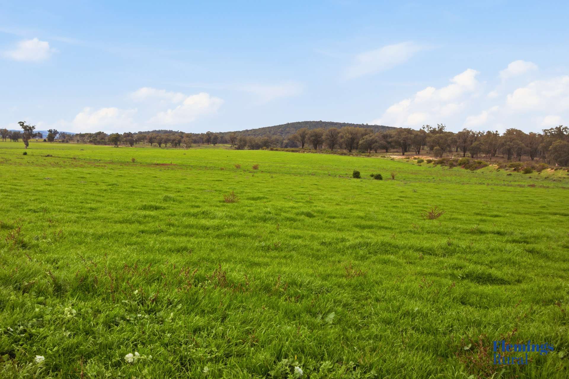 8761 Henry Parkes Way, Parkes For Sale by Farmbuy.com - image 13
