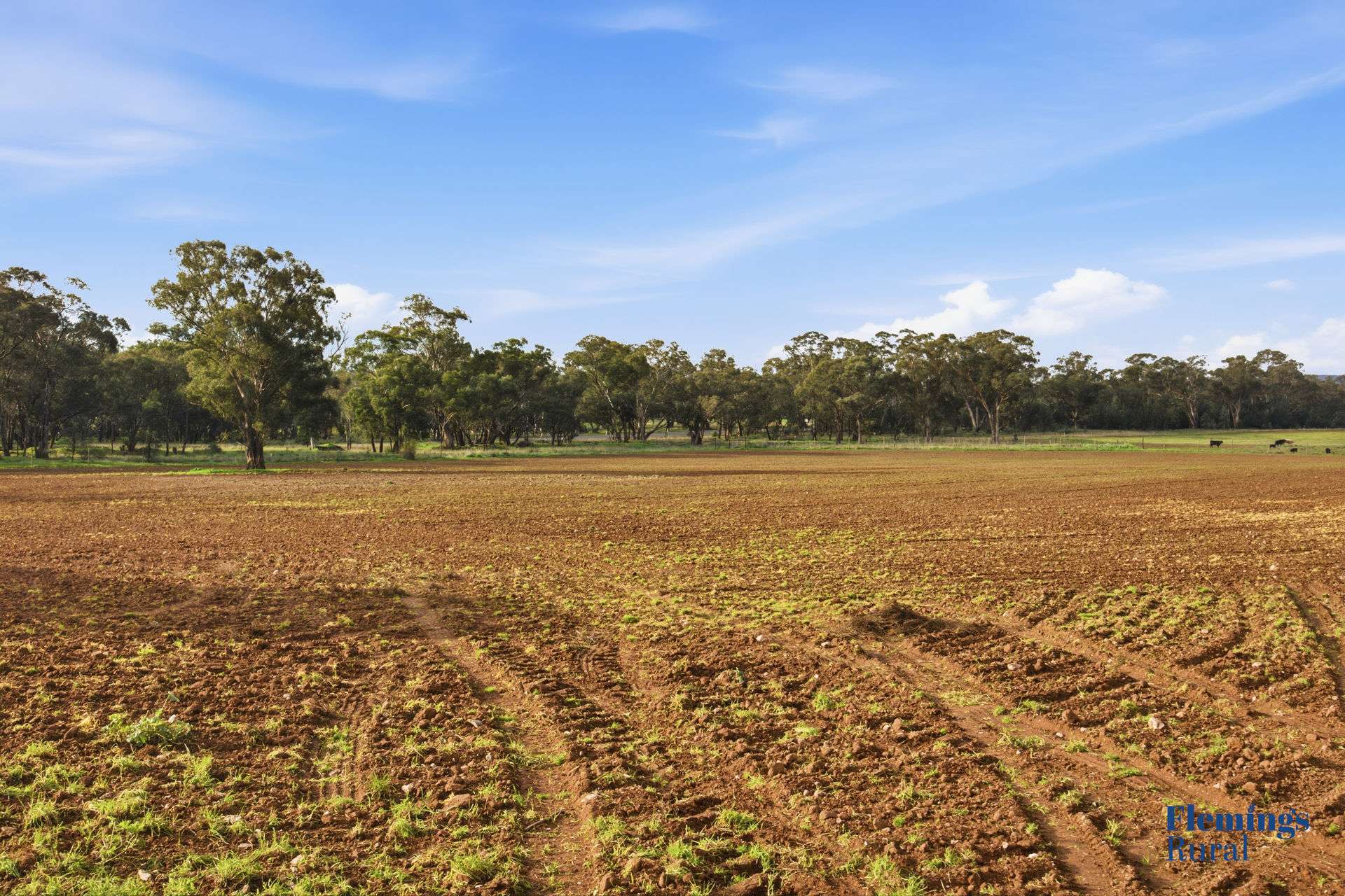 8761 Henry Parkes Way, Parkes For Sale by Farmbuy.com - image 2