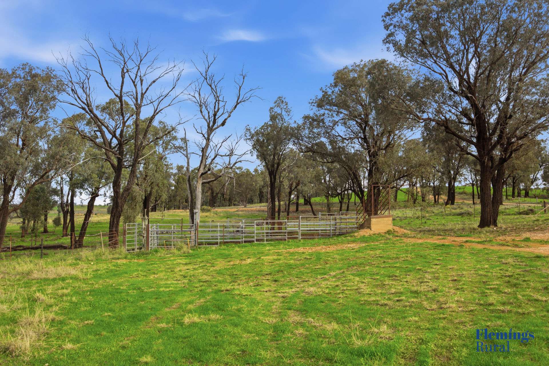 8761 Henry Parkes Way, Parkes For Sale by Farmbuy.com - image 8