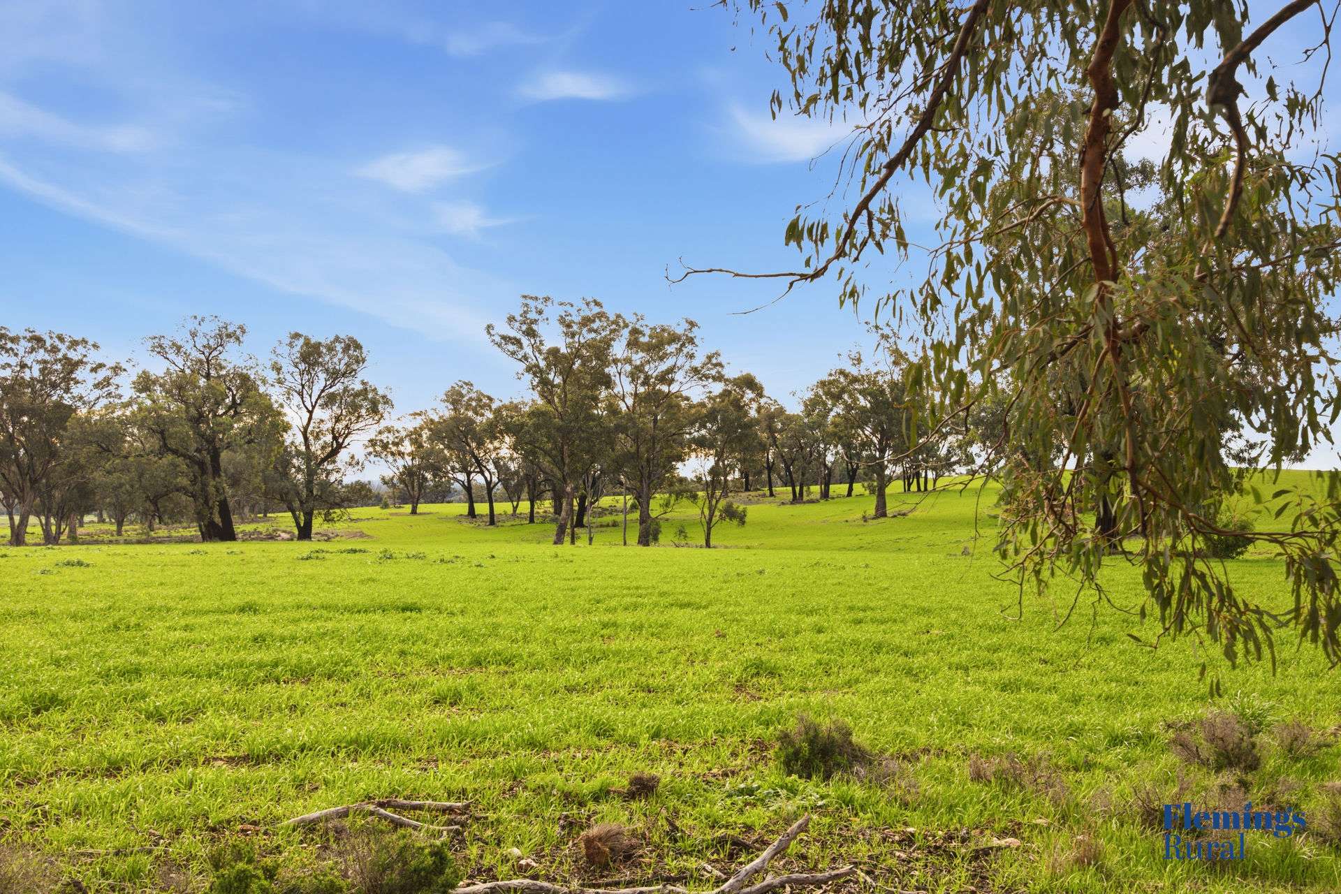 8761 Henry Parkes Way, Parkes For Sale by Farmbuy.com - image 14