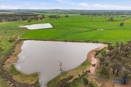 Farm For Sale - NSW - Parkes - 2870 - Versatile Central West Grazing Property 