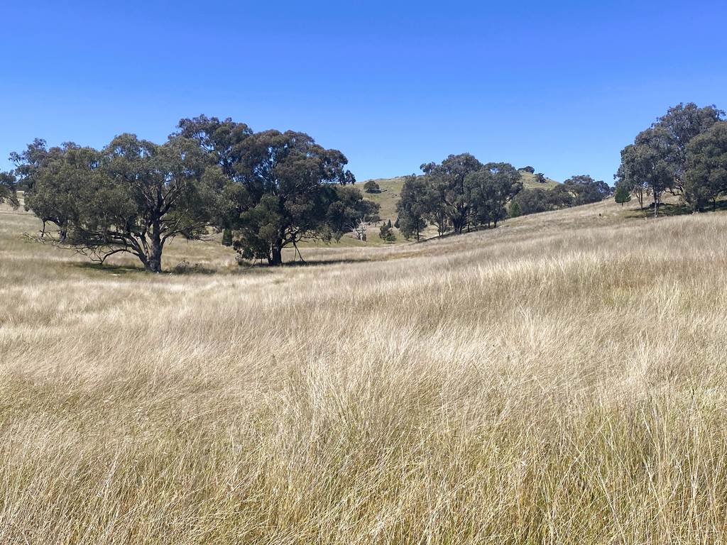 250 Emu Creek Road, Canowindra NSW 2804