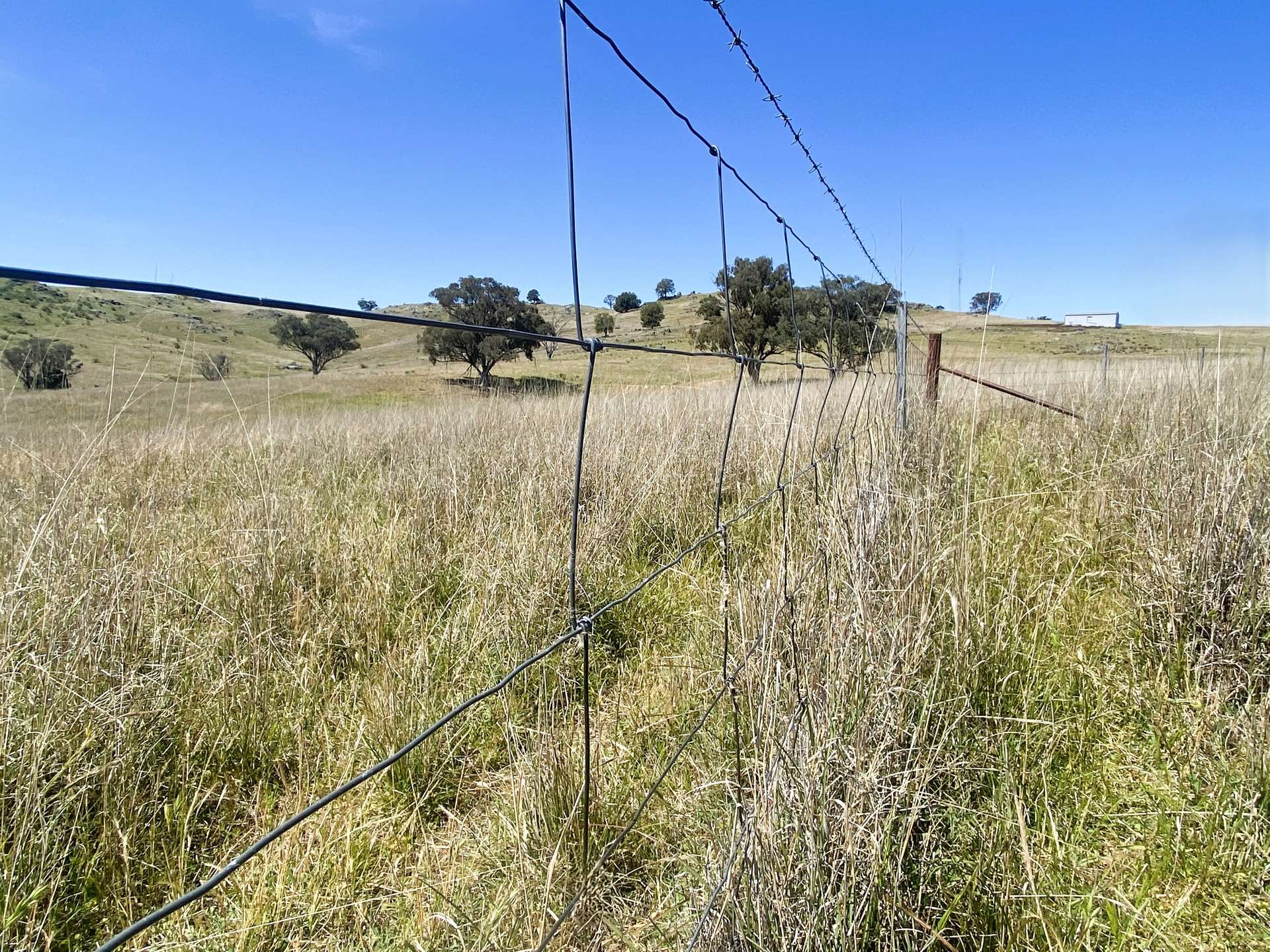 250 Emu Creek Road, Canowindra For Sale by Farmbuy.com - image 27