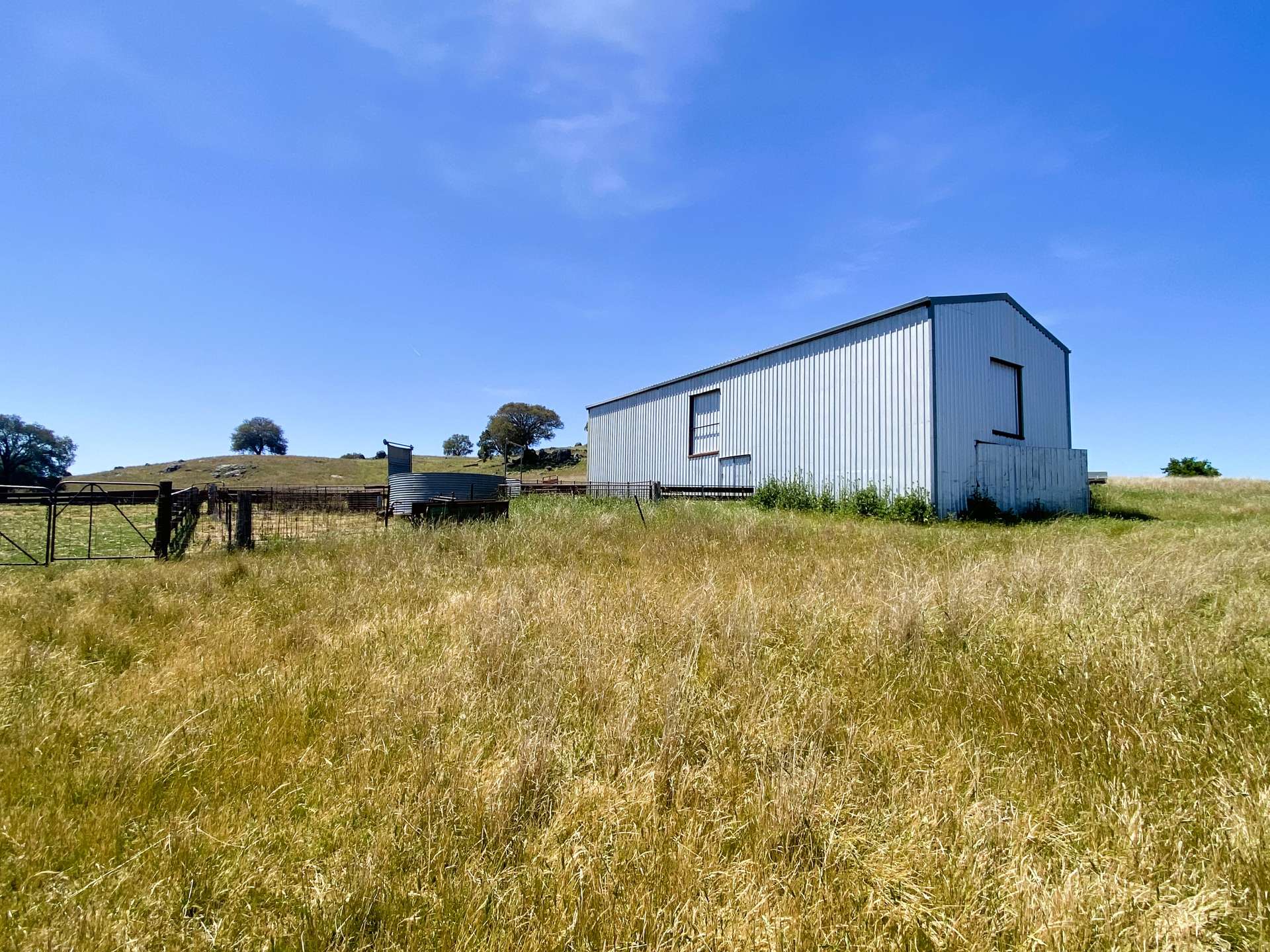 250 Emu Creek Road, Canowindra For Sale by Farmbuy.com - image 15