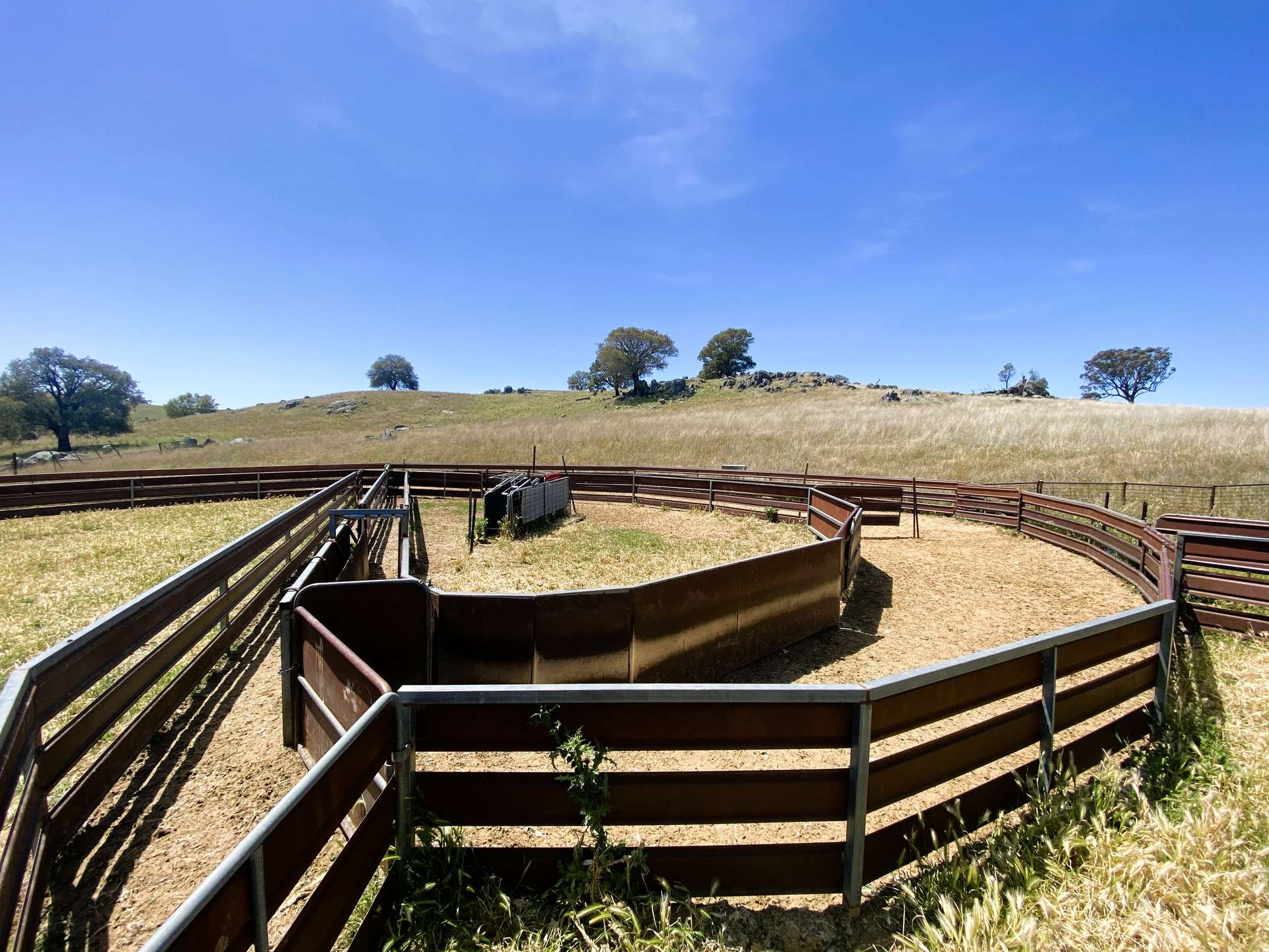 250 Emu Creek Road, Canowindra For Sale by Farmbuy.com - image 17
