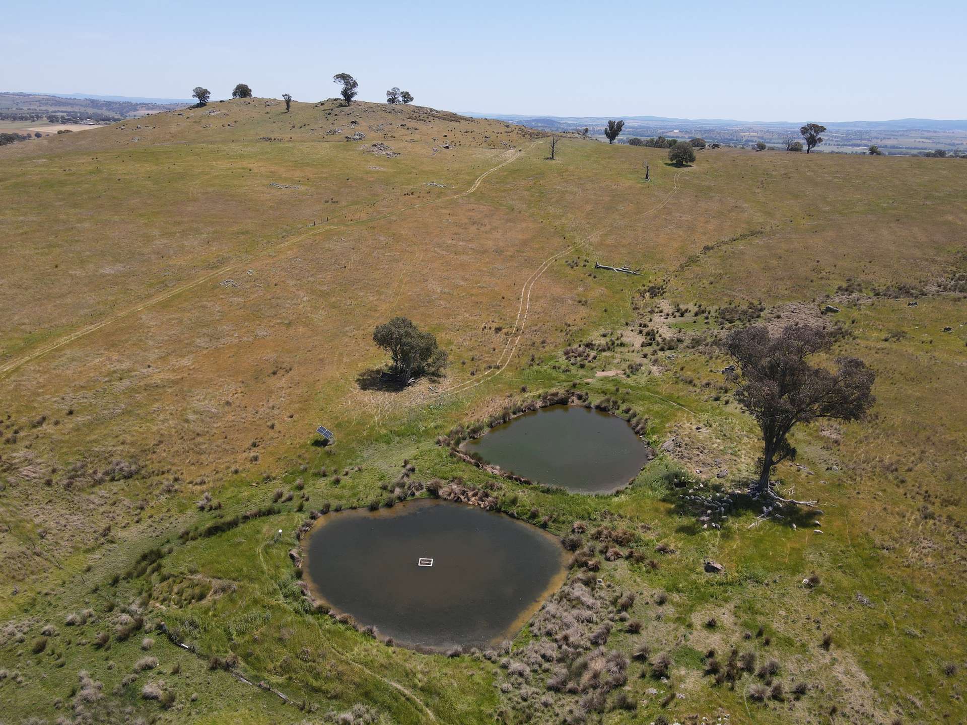 250 Emu Creek Road, Canowindra For Sale by Farmbuy.com - image 5