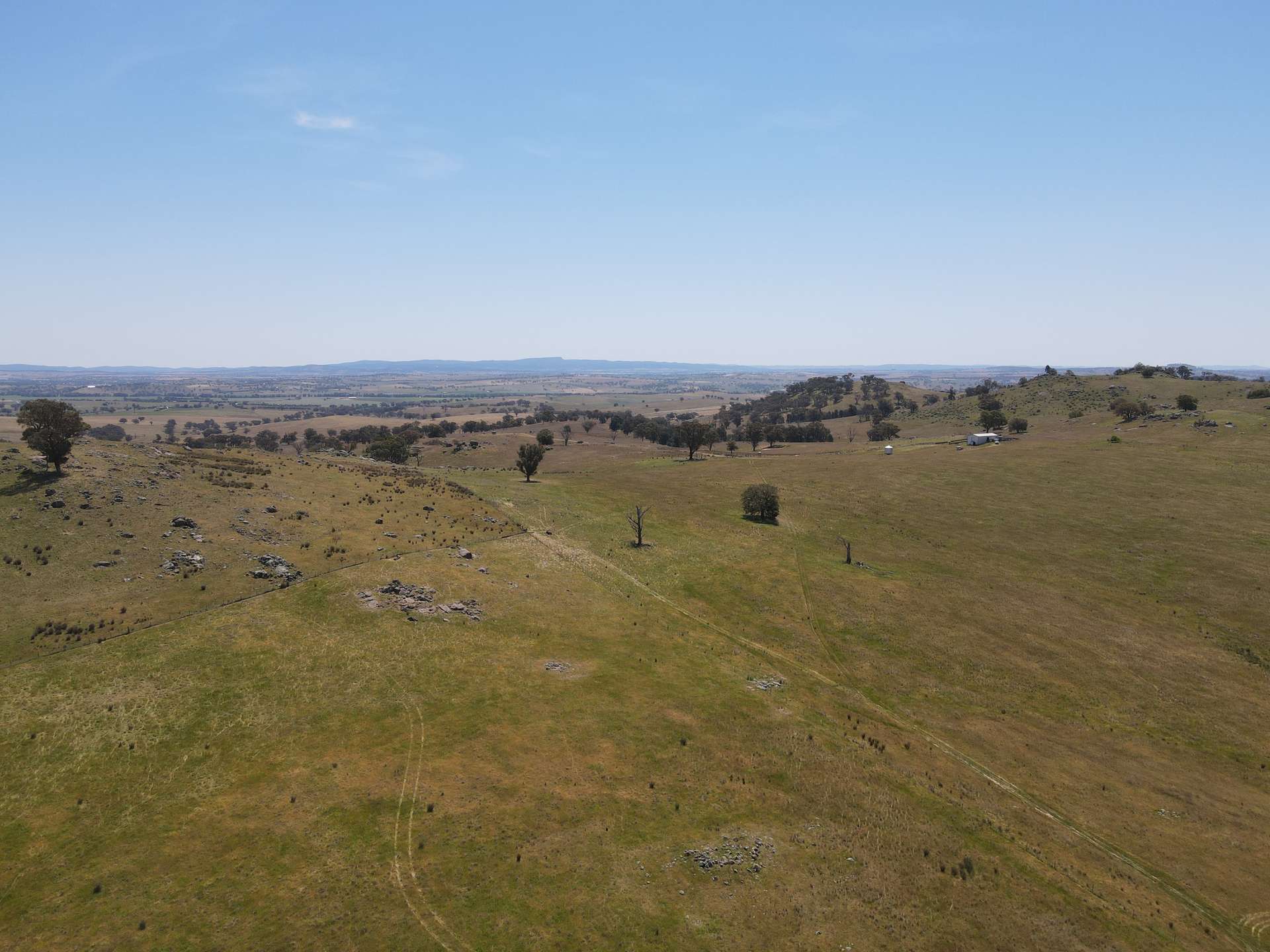 250 Emu Creek Road, Canowindra For Sale by Farmbuy.com - image 6