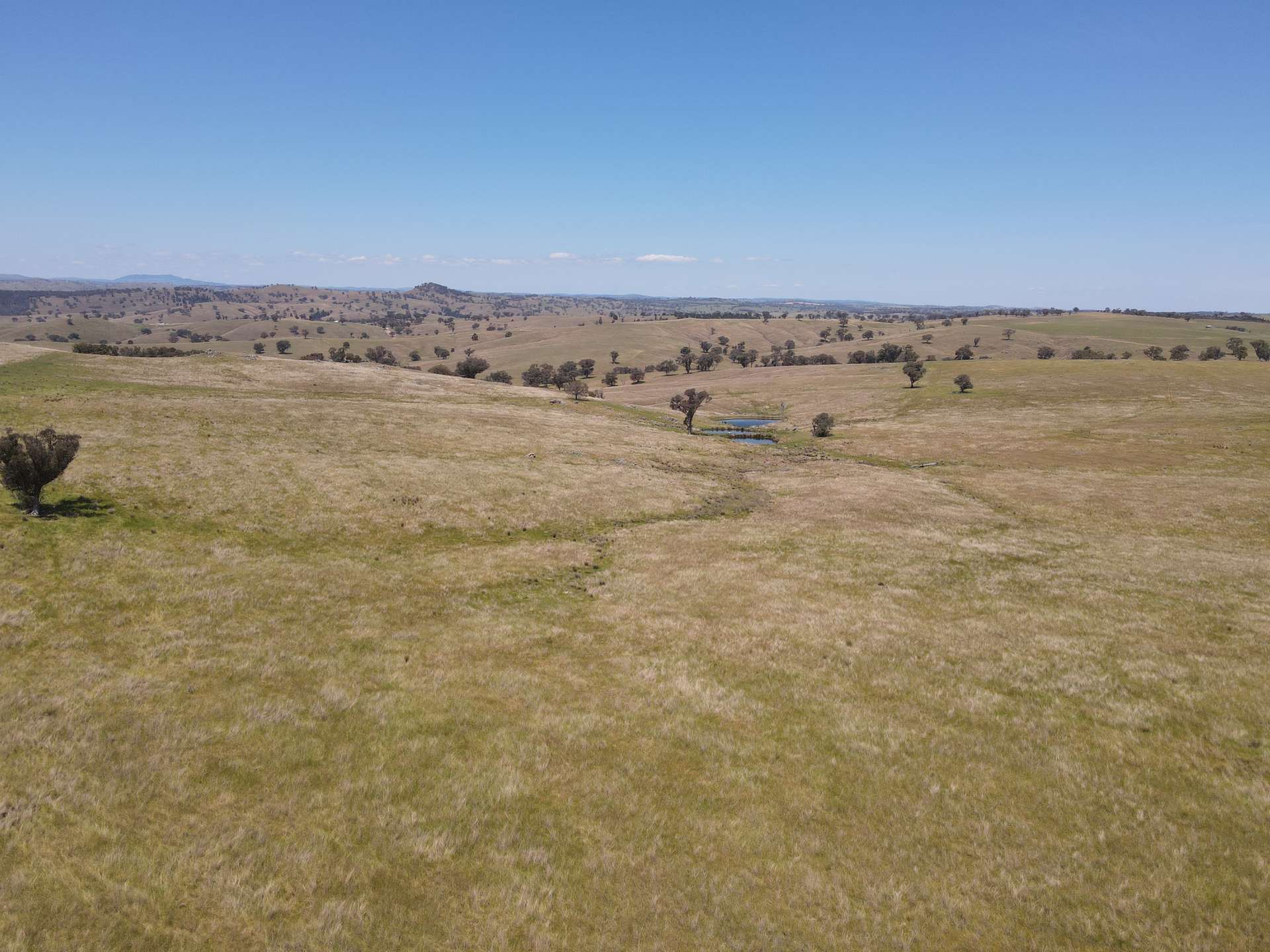 250 Emu Creek Road, Canowindra For Sale by Farmbuy.com - image 3