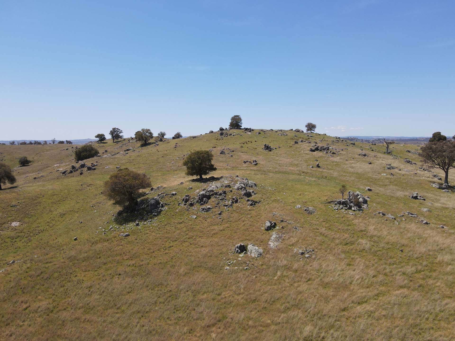250 Emu Creek Road, Canowindra For Sale by Farmbuy.com - image 4