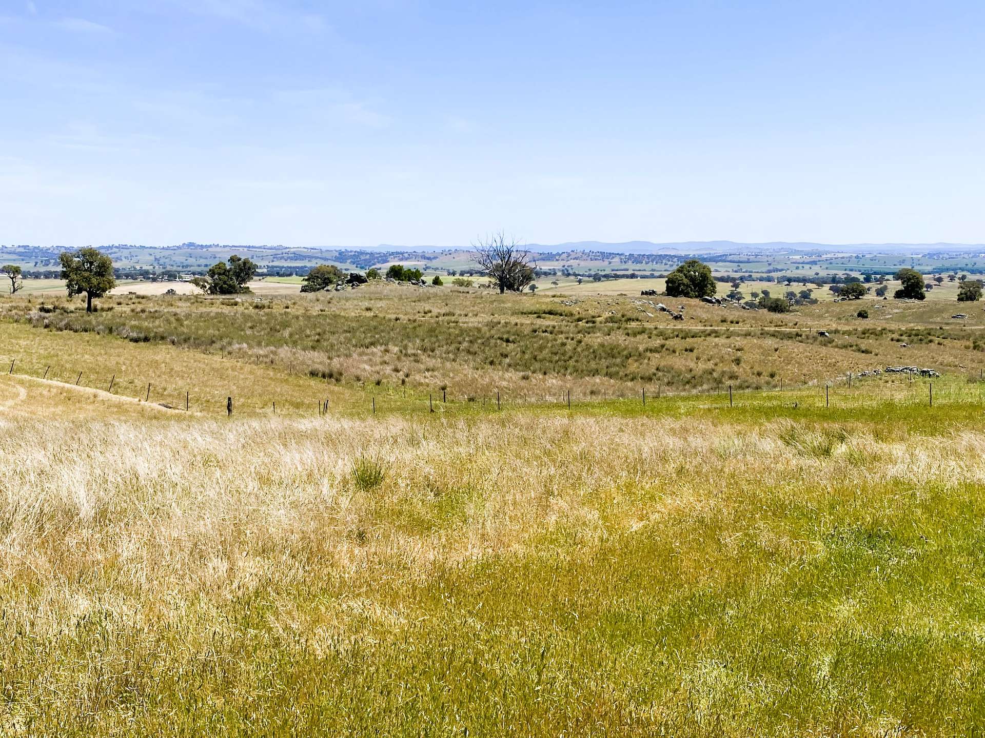 250 Emu Creek Road, Canowindra For Sale by Farmbuy.com - image 12