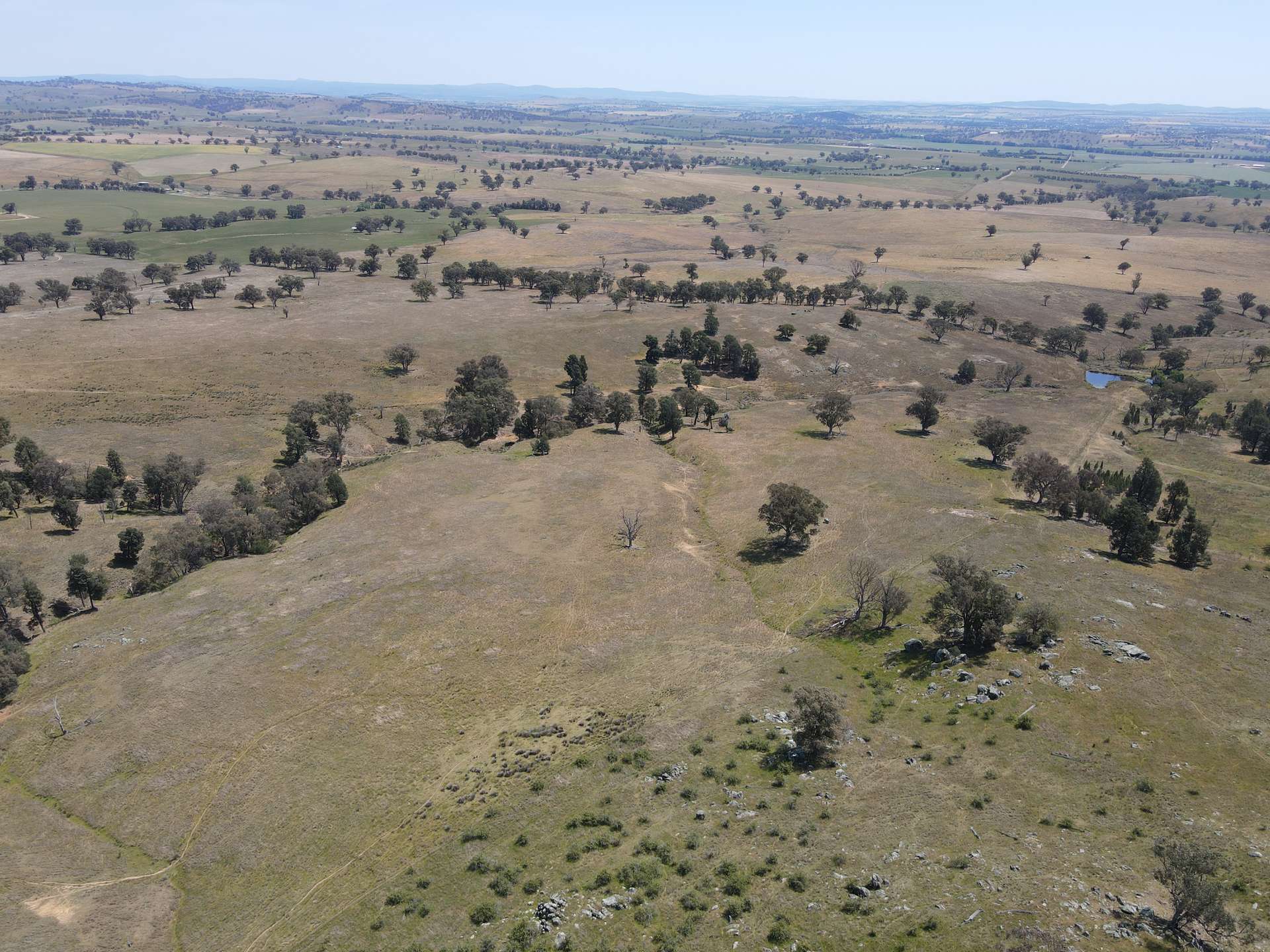 250 Emu Creek Road, Canowindra For Sale by Farmbuy.com - image 8