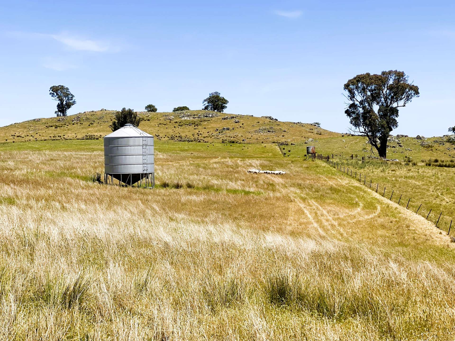 250 Emu Creek Road, Canowindra For Sale by Farmbuy.com - image 13