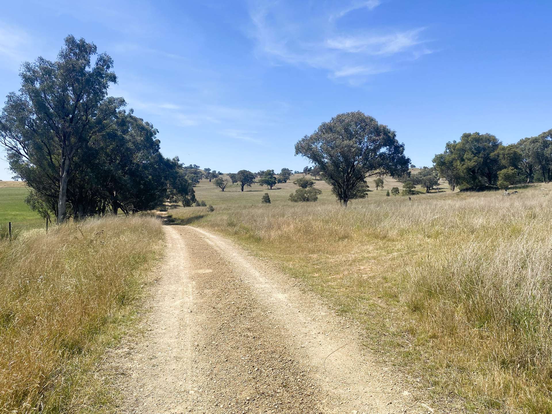 250 Emu Creek Road, Canowindra For Sale by Farmbuy.com - image 28