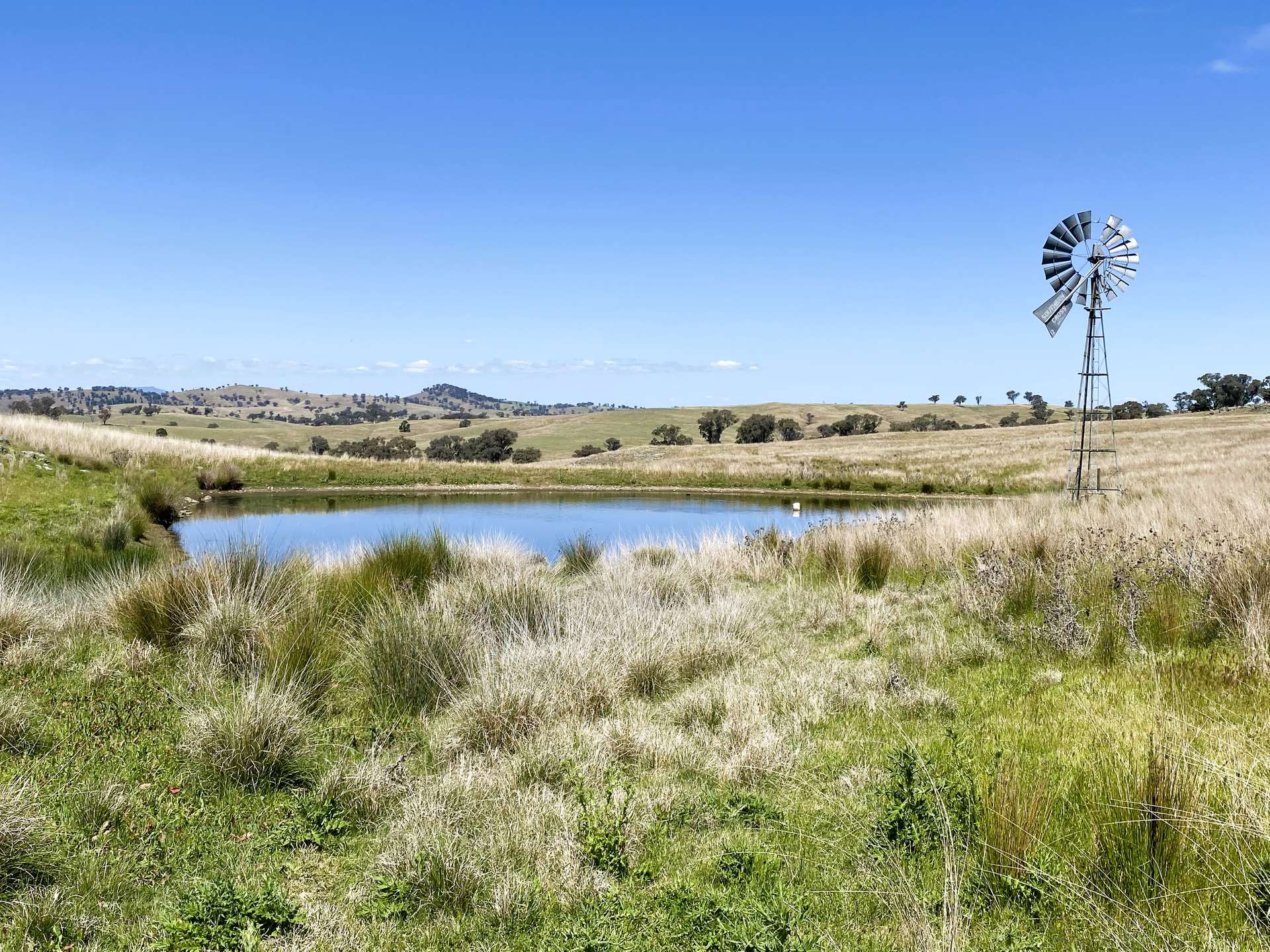 250 Emu Creek Road, Canowindra For Sale by Farmbuy.com - image 23