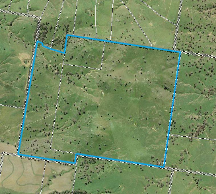 250 Emu Creek Road, Canowindra For Sale by Farmbuy.com - image 29