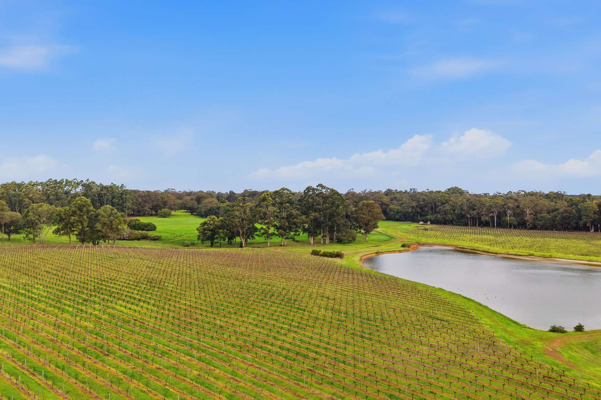 334 Osmington Road, Bramley For Sale by Farmbuy.com - image 24