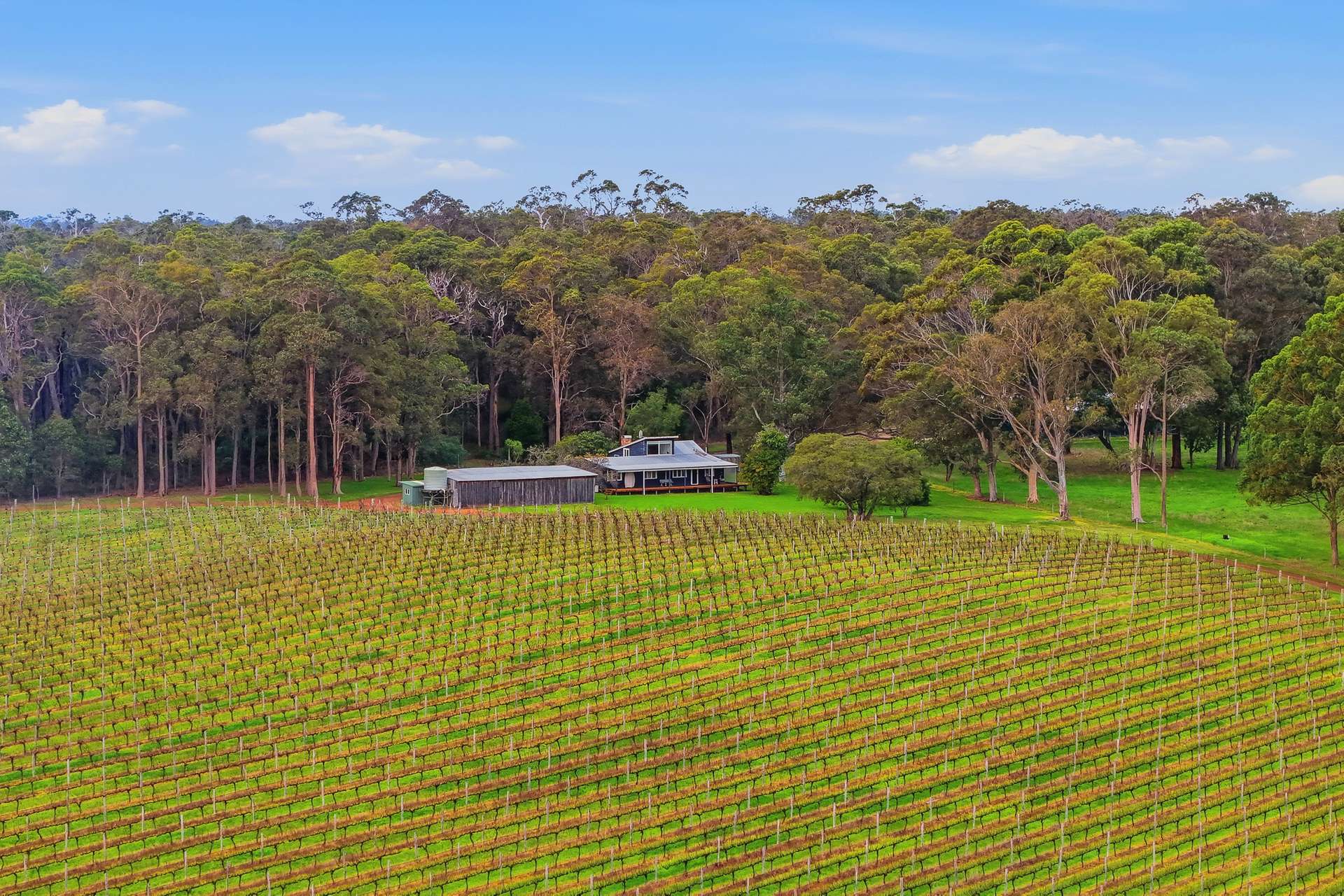 334 Osmington Road, Bramley For Sale by Farmbuy.com - image 28