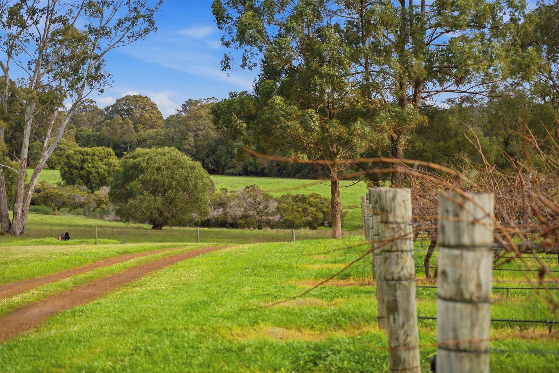 334 Osmington Road, Bramley For Sale by Farmbuy.com - image 19