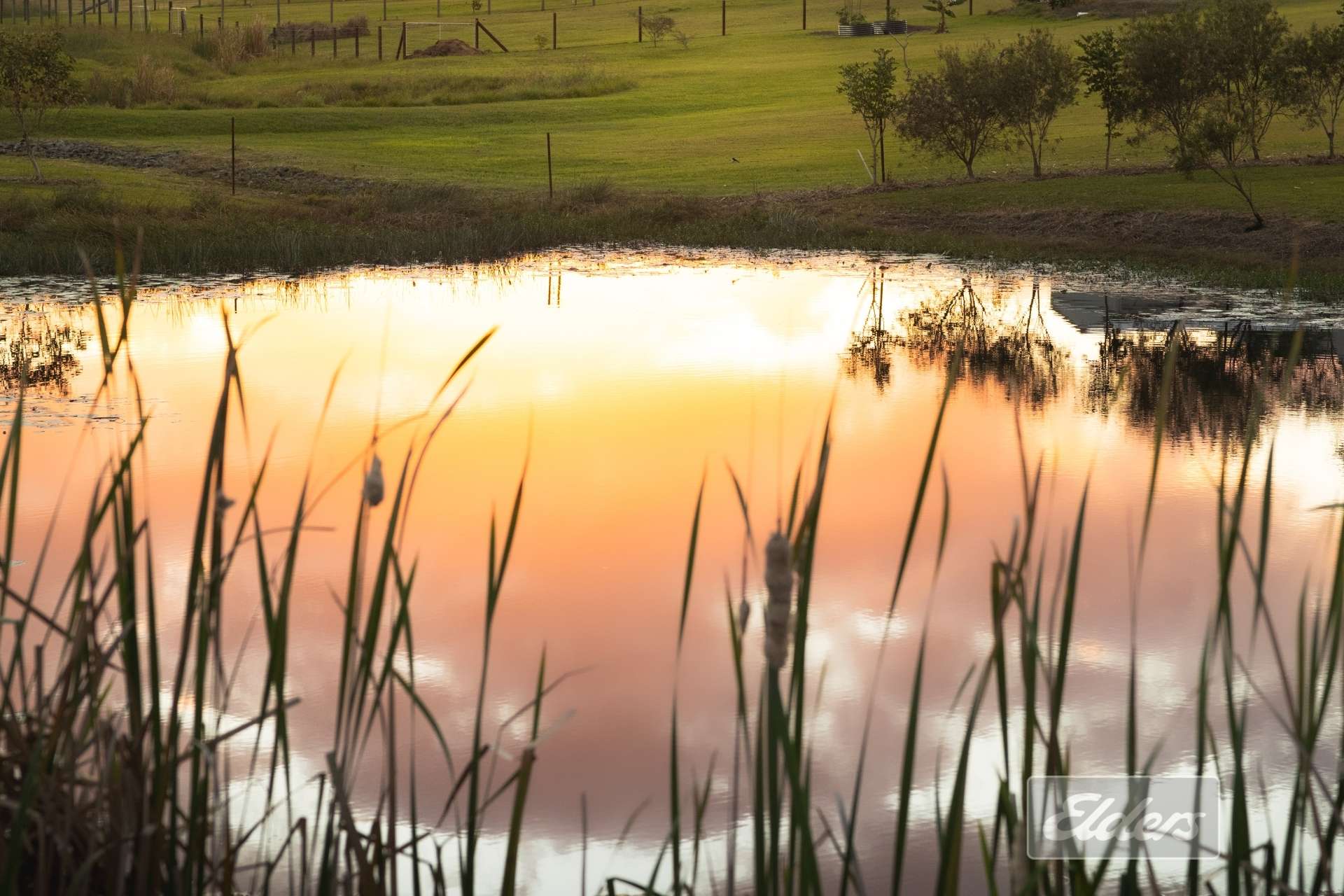 28 Vantage Road, Chatsworth For Sale by Farmbuy.com - image 8