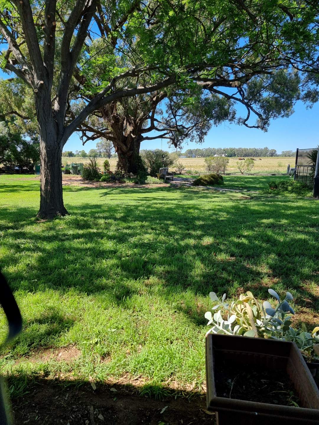 22 Glanville Road, Echuca Village For Sale by Farmbuy.com - image 18
