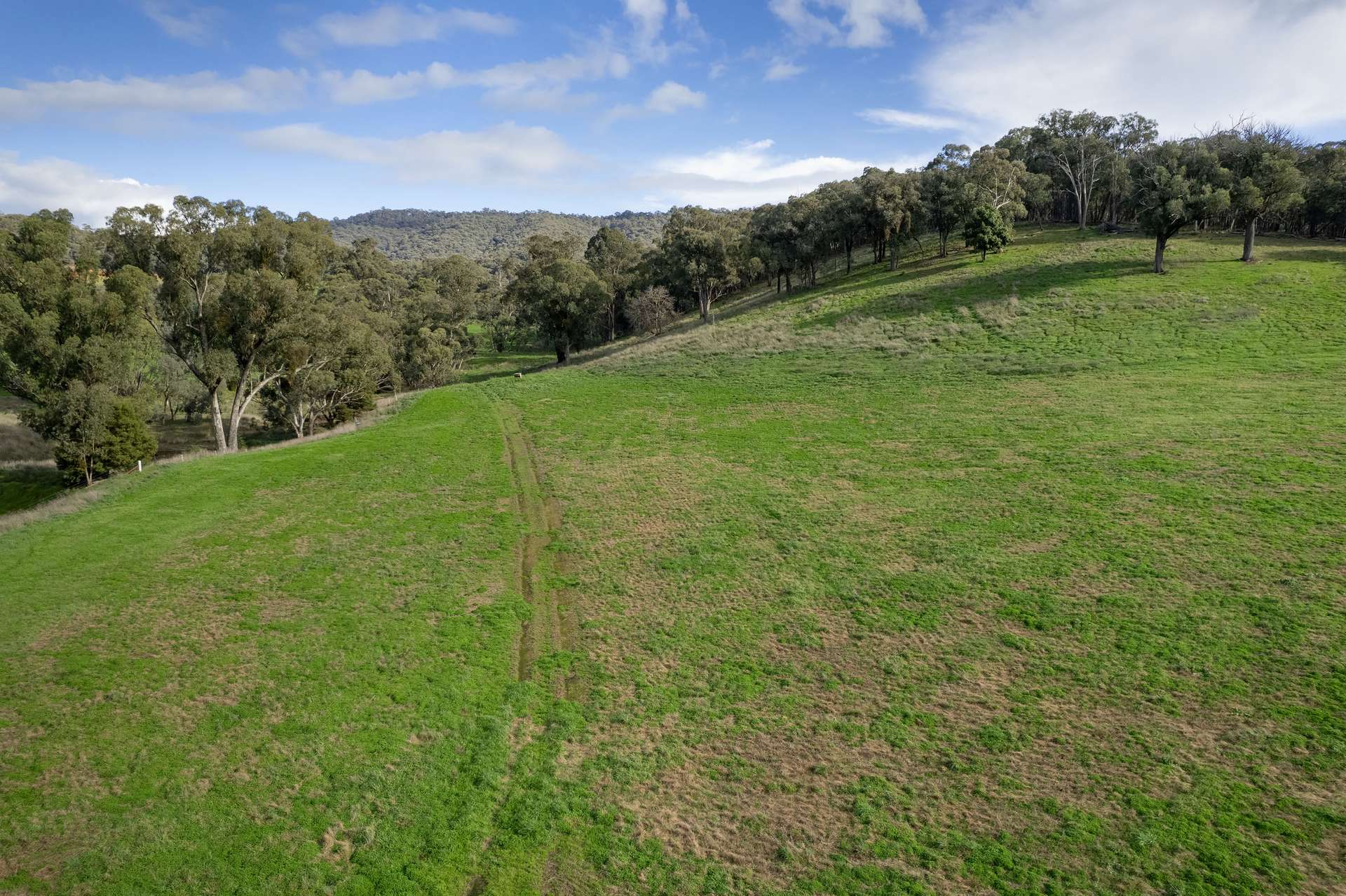 Lot 2 Georges Creek Road, Georges Creek For Sale by Farmbuy.com - image 6